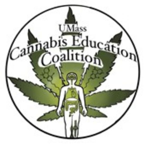Picture of RSO - Cannabis Education Coalition - Dues