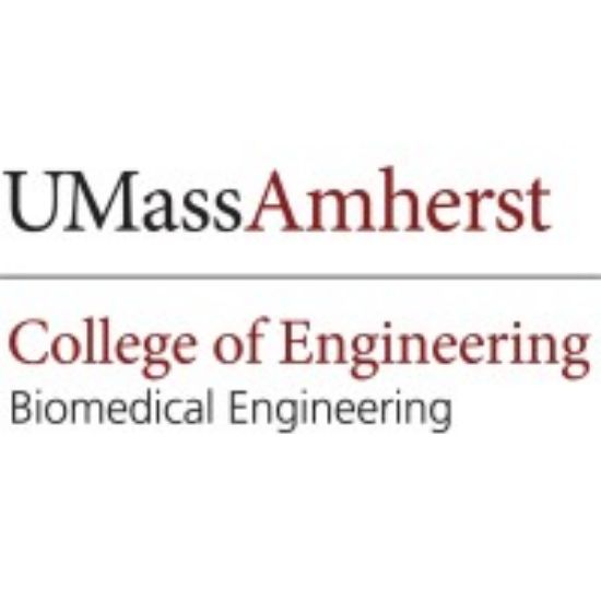 Picture of GSO - Biomedical Engineering Graduate Society - Dues