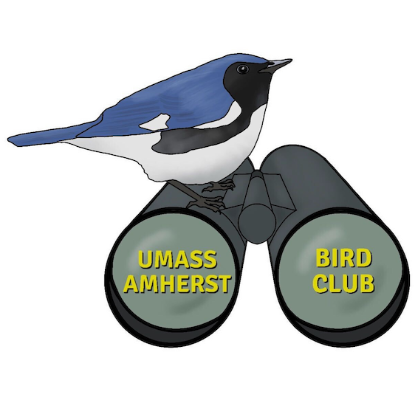 Picture of GSO - Bird Club - Dues