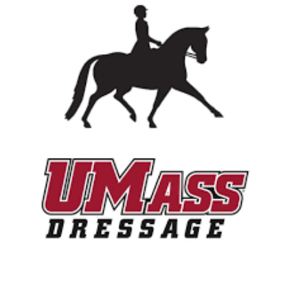 Picture of RSO - Dressage Team - Dues