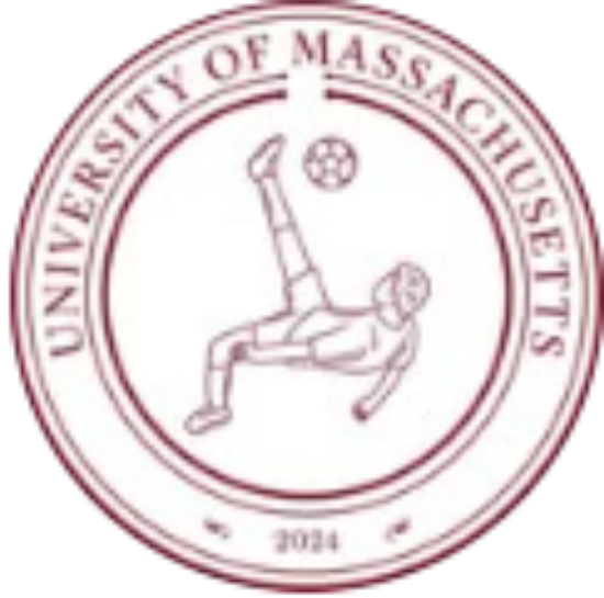 Picture of RSO - Footvolley Club - Dues