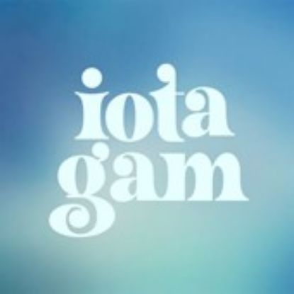 Picture of RSO - Iota Gamma Upsilon - Dues