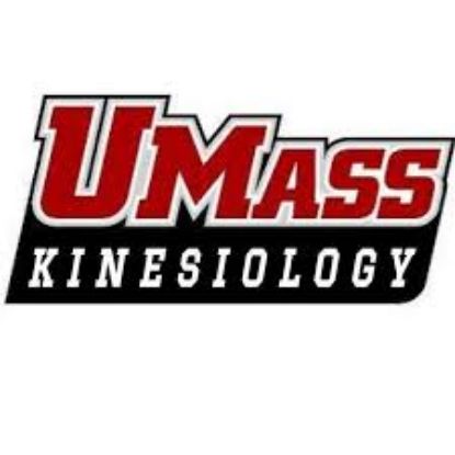 Picture of GSO - Kinesiology - Dues