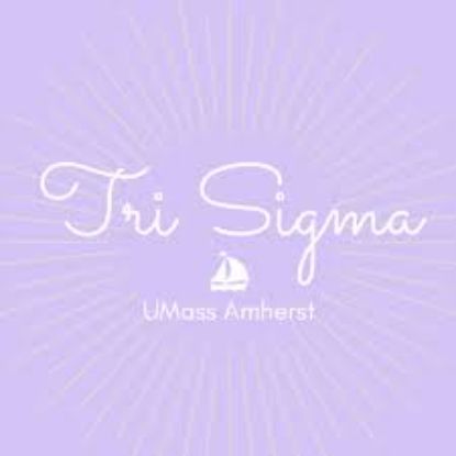 Picture of RSO - Sigma Sigma Sigma - Dues