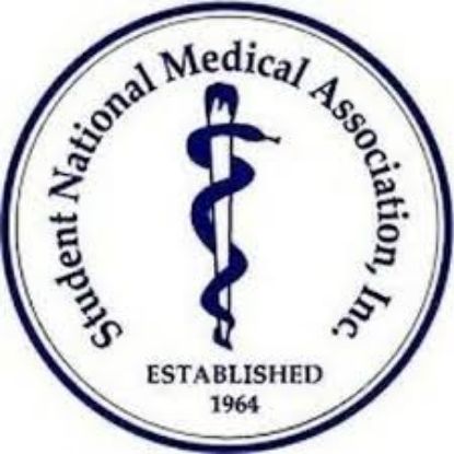 Picture of RSO - Student National Medical Association - Minority Association of Pre-Medical Students (SNMA-MAPS) - Dues