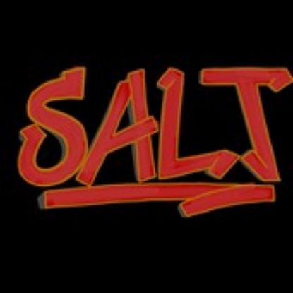 Picture of RSO - Students for Alternative Music (SALT) - Dues