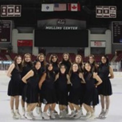 Picture of RSO - Synchronized Skating Club - Dues