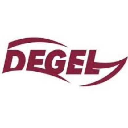 Picture of RSO - UMass Degel - Dues