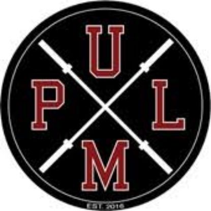 Picture of RSO - UMass Powerlifting - Dues