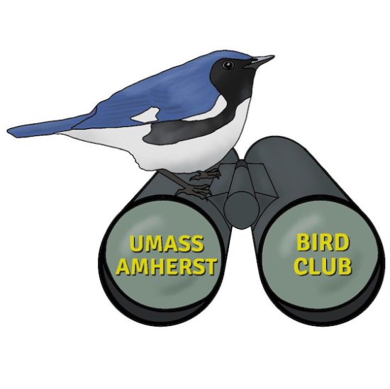 Picture of GSO - Bird Club - Fundraising