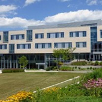 Picture of GSO - Communication Graduate Student Association - Fundraising