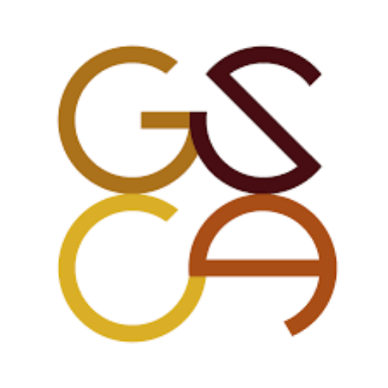 Picture of GSO - Graduate Students of Color Association - Fundraising