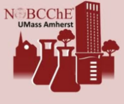 Picture of GSO - National Organization for the Professional Advancement of Black Chemists and Chemical Engineers (NOBCCHE) - Fundraising