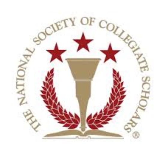 Picture of RSO - National Society of Collegiate Scholars (NSCS) - Fundraising