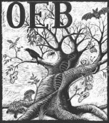 Picture of GSO - Organismic Evolutionary Biology Grad Council - Fundraising