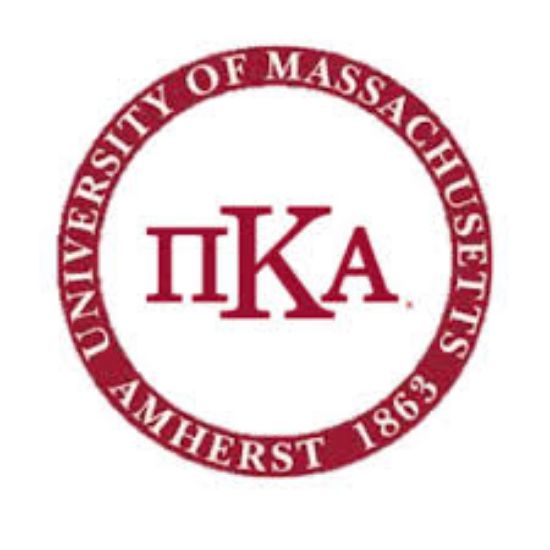 Picture of RSO - Pi Kappa Alpha - Fundraising