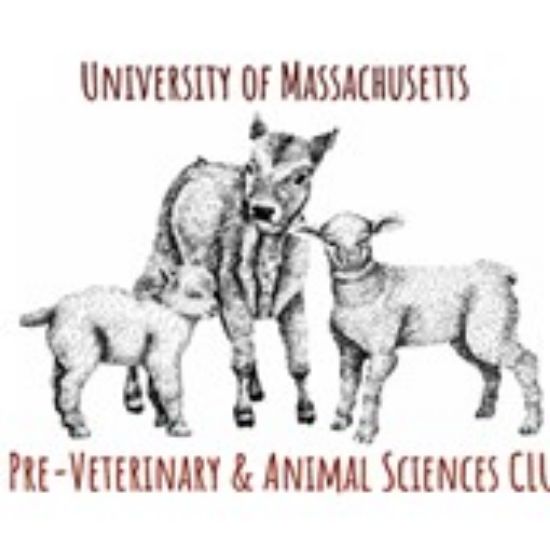 Picture of RSO - Pre-Vet & Animal Science - Fundraising
