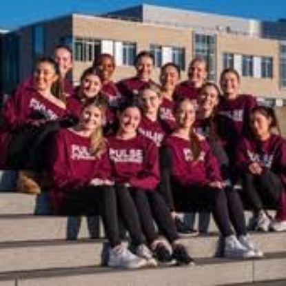 Picture of RSO - Pulse Dance Company - Fundraising