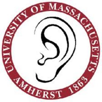 Picture of GSO - Student Academy of Audiology - Fundraising