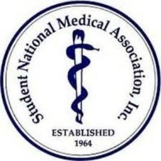 Picture of RSO - Student National Medical Association - Minority Association of Pre-Medical Students (SNMA-MAPS) - Fundraising