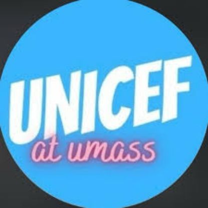 Picture of RSO - UNICEF - Dues