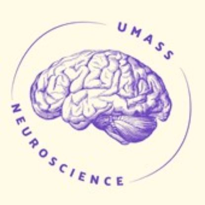 Picture of RSO - Neuroscience Club - Fundraising