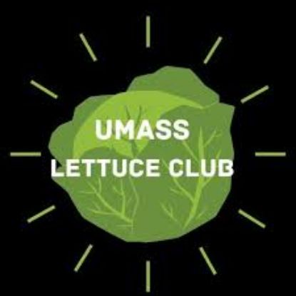 Picture of RSO - Lettuce Club - Dues