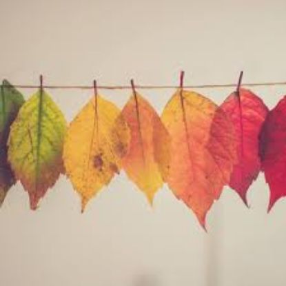 Picture of GSO - Scholars of Color in Communication - Fundraising