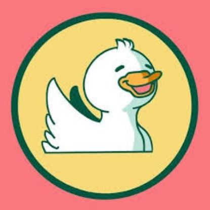 Picture of RSO - Animation Collective - Fundraising