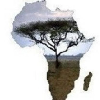 Picture of GSO - African Graduate and Scholars Association - Dues