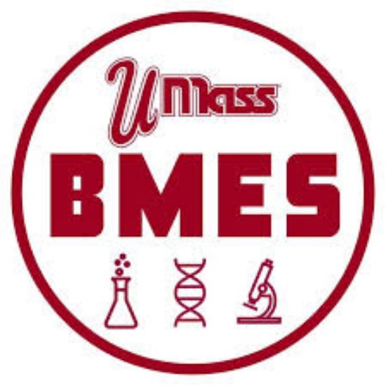 Picture of RSO - Biomedical Engineering Society - Dues