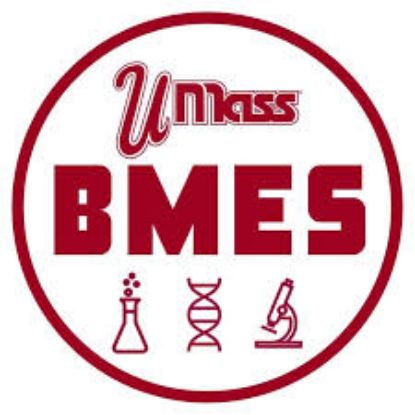 Picture of RSO - Biomedical Engineering Society - Fundraising