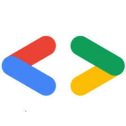 Picture of RSO - Google Developer Student Club (GDSC) - Fundraising