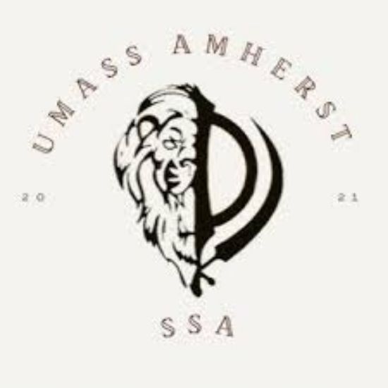 Picture of RSO - Sikh Student Association - Dues