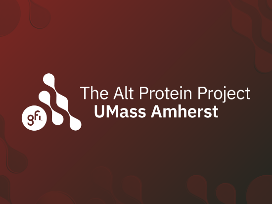 Picture of RSO - UMass Alternative Protein Project - Fundraising
