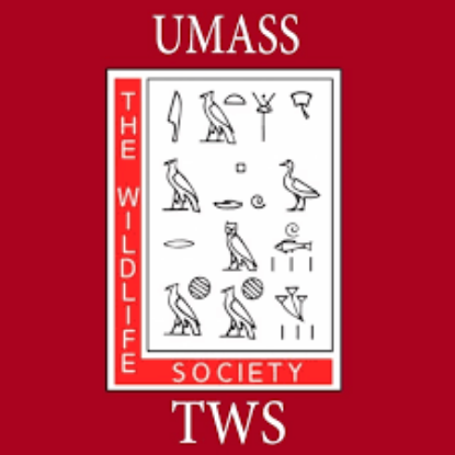 Picture of RSO - UMass Wildlife Society - Dues