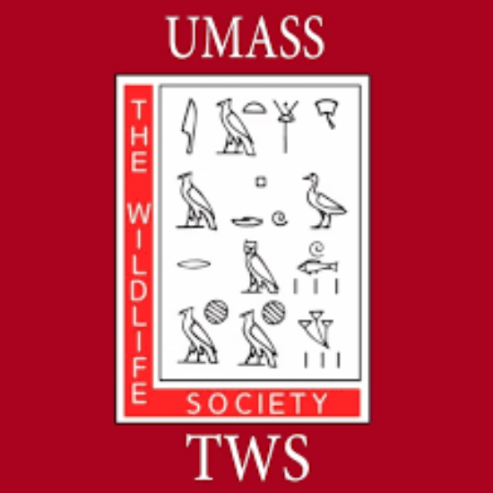 Picture of RSO - UMass Wildlife Society - Dues