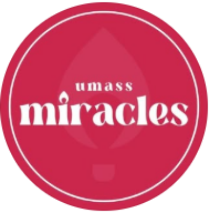 Picture of RSO - UMass Miracles - Fundraising