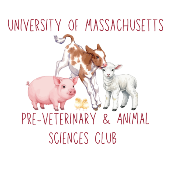 Picture of RSO - Pre-Vet & Animal Science - Fundraising