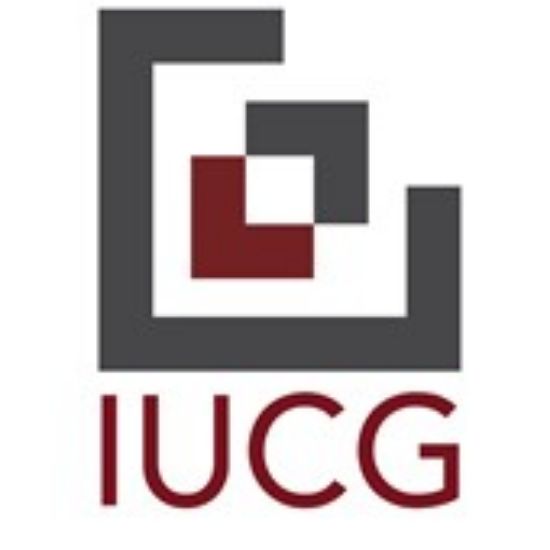 Picture of RSO - Isenberg Undergraduate Consulting Group (IUCG) - Fundraising
