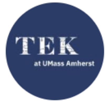 Picture of RSO - Technology, Empowerment, & Kinship (TEK) - Fundraising