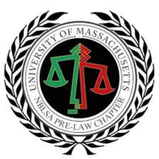 Picture of RSO - National Black Law Student Association (NBLSA) - Fundraising