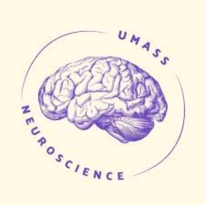 Picture of RSO - Synapse UMass - Fundraising