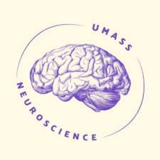 Picture of RSO - Synapse UMass - Fundraising